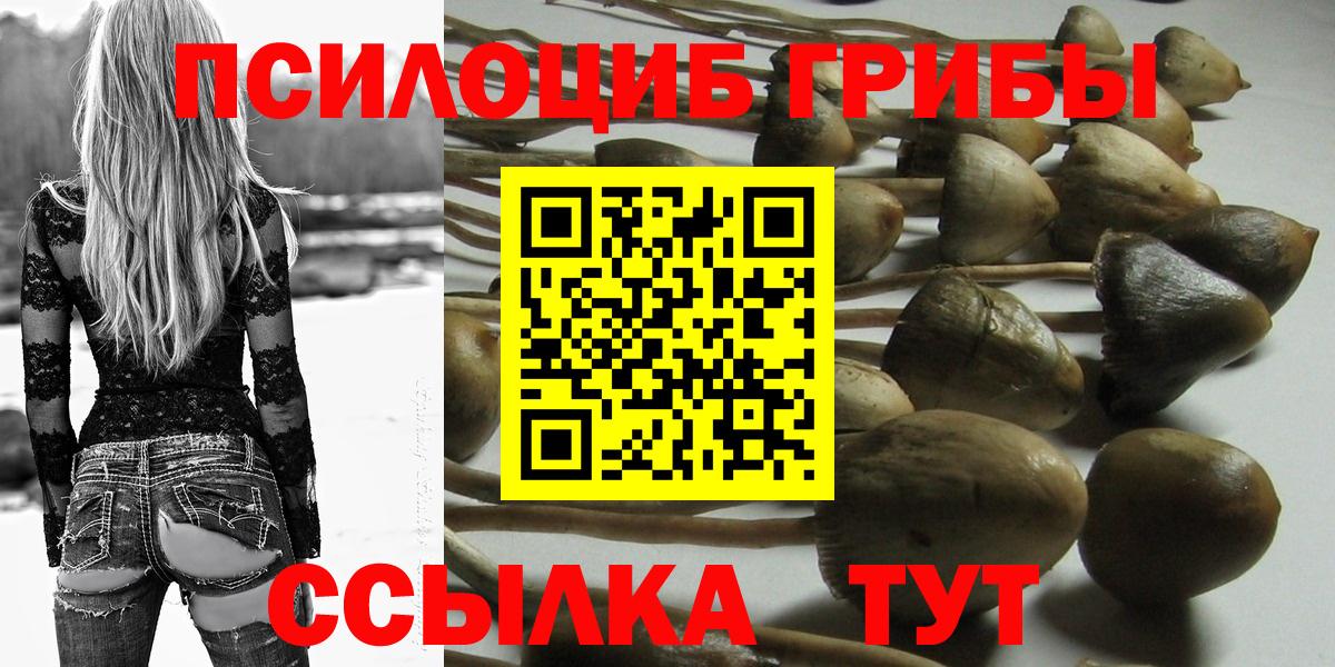 Галлюциногенные грибы Psilocybe Тула